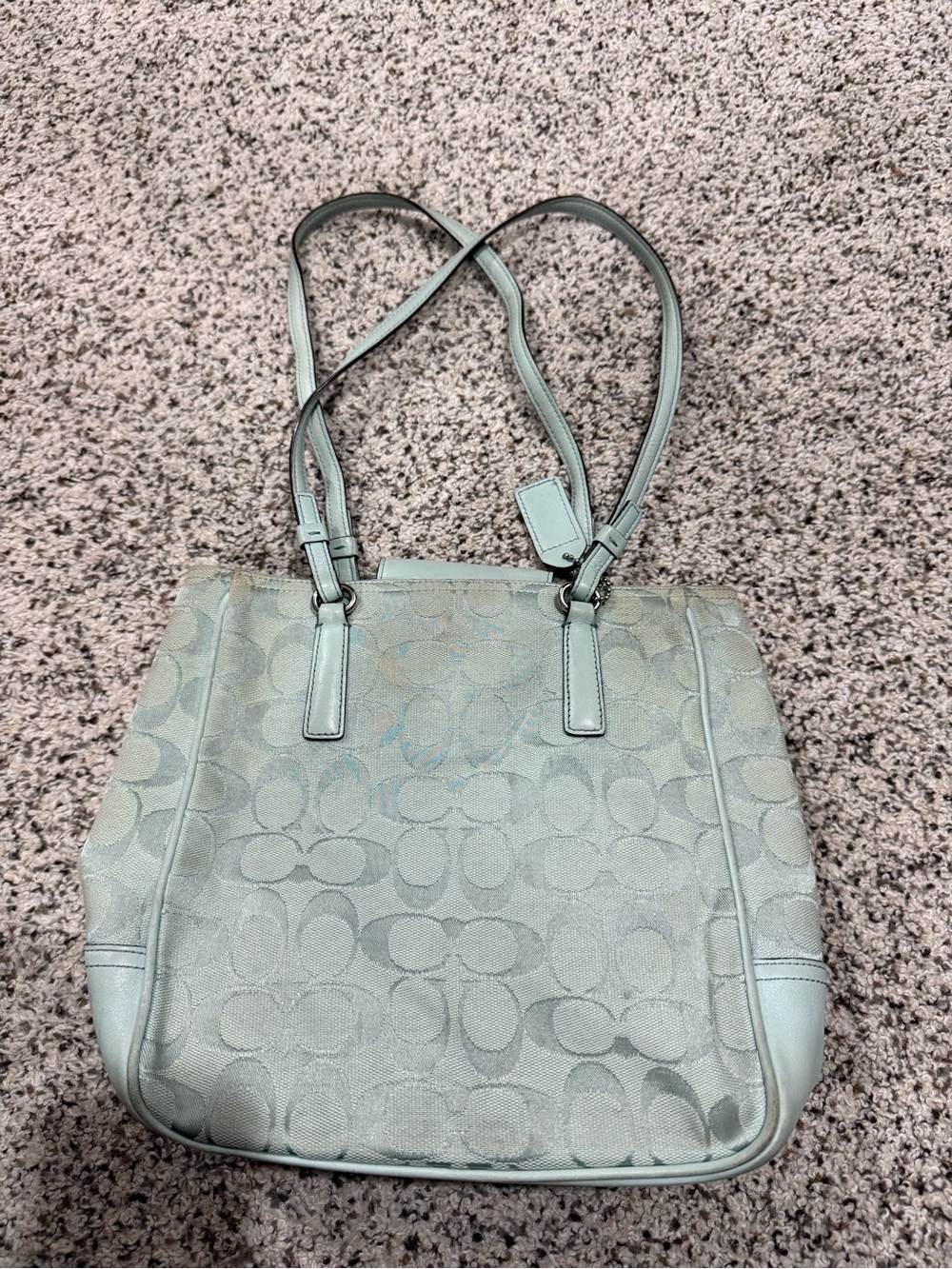 Coach Jacquard Tote in Sage Green